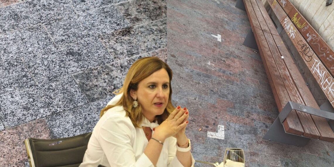 La suciedad en las calles de Valencia una signatura pendiente de Catalá que se agrava en verano