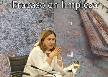 La suciedad en las calles de Valencia una signatura pendiente de Catalá que se agrava en verano