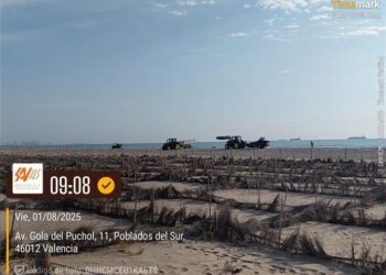 Las playas del sur de Valencia vuelven a limpiarse con maquinaria tras concluir el anidamiento del chorlitejo patinegro