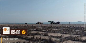 Las playas del sur de Valencia vuelven a limpiarse con maquinaria tras concluir el anidamiento del chorlitejo patinegro