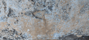 Los grafitis históricos de la muralla de Santa Bárbara en Peñíscola en la Lista Roja del Patrimonio