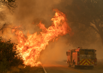 Afectados por los incendios: OCU informa sobre la reclamación de daños