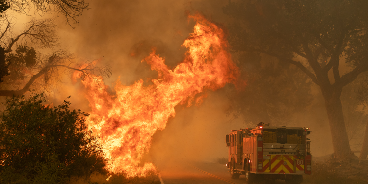 Afectados por los incendios: OCU informa sobre la reclamación de daños