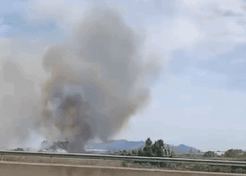 Incendio en Massalavés que afecta a un desguace y a campos cercanos y corta MetroValencia