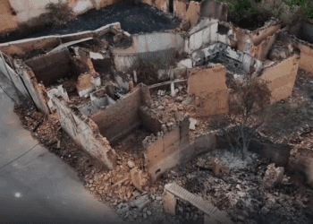 España en Llamas: La Estafa Verde que Está Devorando Nuestro País