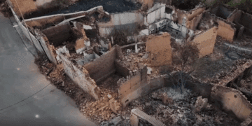 España en Llamas: La Estafa Verde que Está Devorando Nuestro País