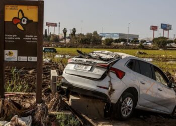 La Generalitat instalará una nueva depuradora para salvar la Albufera tras los daños de la DANA del 29 de octubre