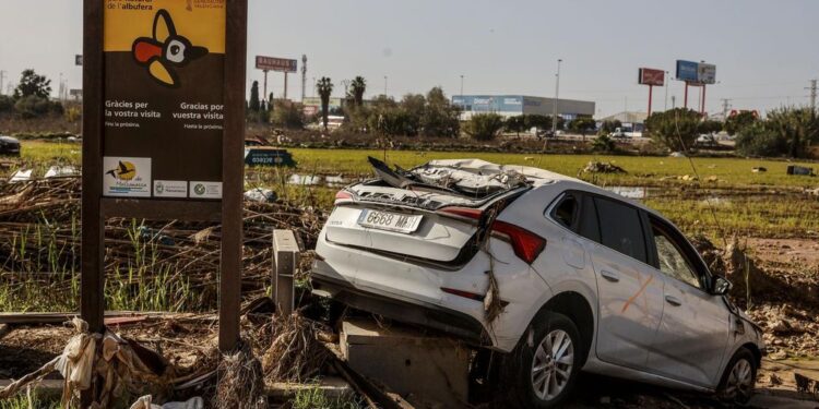 La Generalitat instalará una nueva depuradora para salvar la Albufera tras los daños de la DANA del 29 de octubre 1 La Generalitat instalará una nueva depuradora para salvar la Albufera tras los daños de la DANA del 29 de octubre