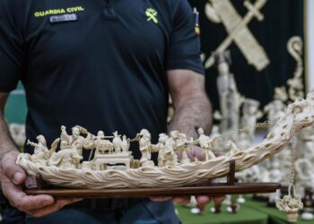 Golpe histórico al tráfico de marfil en Valencia: incautadas 127 piezas de elefantes asiáticos y africanos