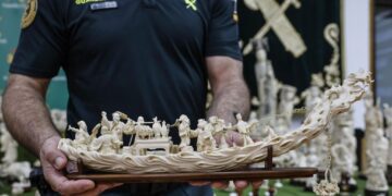 Golpe histórico al tráfico de marfil en Valencia: incautadas 127 piezas de elefantes asiáticos y africanos