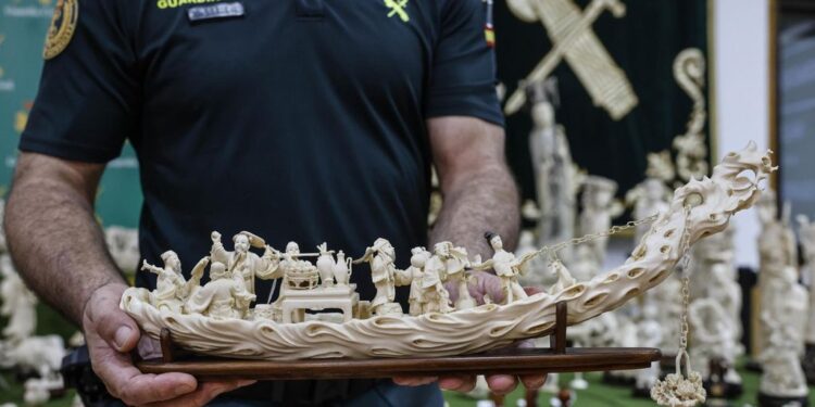 Golpe histórico al tráfico de marfil en Valencia: incautadas 127 piezas de elefantes asiáticos y africanos 1 Golpe histórico al tráfico de marfil en Valencia: incautadas 127 piezas de elefantes asiáticos y africanos