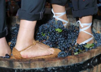 Requena celebra la LXXVI Fiesta de la Vendimia (20-31 de agosto)