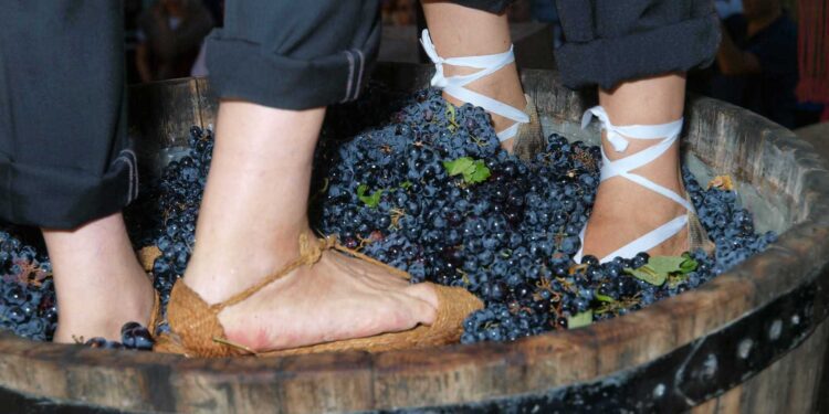 Requena celebra la LXXVI Fiesta de la Vendimia (20-31 de agosto)