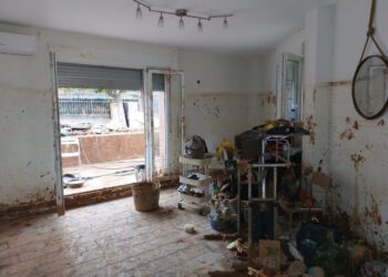 Federación Nacional ASPAYM reclama mayor agilidad en la reparación de ascensores tras la DANA