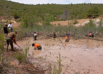 La Generalitat restaura una antigua cantera en el parque natural de la Calderona que servirá de hábitat para anfibios en peligro de extinción 1 La Generalitat restaura una antigua cantera en el parque natural de la Calderona que servirá de hábitat para anfibios en peligro de extinción