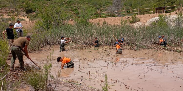 La Generalitat restaura una antigua cantera en el parque natural de la Calderona que servirá de hábitat para anfibios en peligro de extinción 1 La Generalitat restaura una antigua cantera en el parque natural de la Calderona que servirá de hábitat para anfibios en peligro de extinción