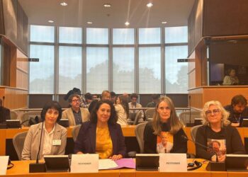 La Comisión Europea deberá pronunciarse sobre la gestión de la DANA tras el aval de la Comisión de Peticiones