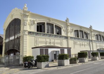 El Abandono persistente de los Tinglados 4 y 5: otro capítulo amargo del gobierno de María José Catalá 5 El abandono persistente de los Tinglados 4 y 5: otro capítulo amargo del gobierno de María José Catalá