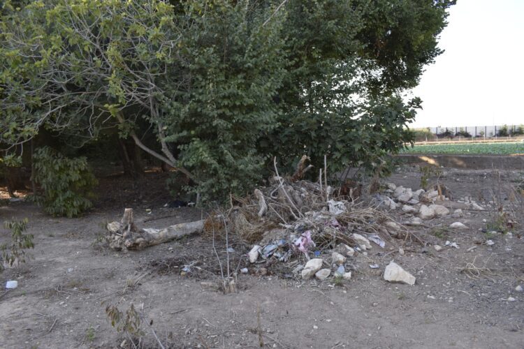 El abandono de la alquería dels Moros: un patrimonio rural en ruinas y olvidado
