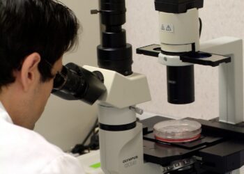 La CV celebra la Noche Europea de la Investigación con más de 50 actividades para acercar la ciencia a la sociedad