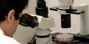 La CV celebra la Noche Europea de la Investigación con más de 50 actividades para acercar la ciencia a la sociedad