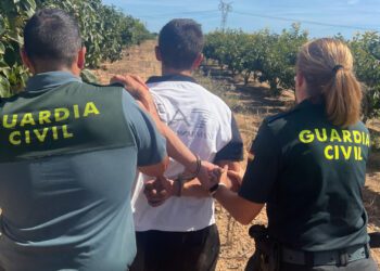 La Guardia Civil investiga al conductor de un tractocamión presunto responsable de un siniestro vial con una persona fallecida 1 La Guardia Civil investiga al conductor de un tractocamión presunto responsable de un siniestro vial con una persona fallecida