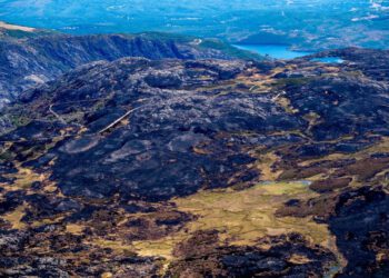 Operadores jurídicos piden prohibir la caza en las zonas asoladas por los incendios