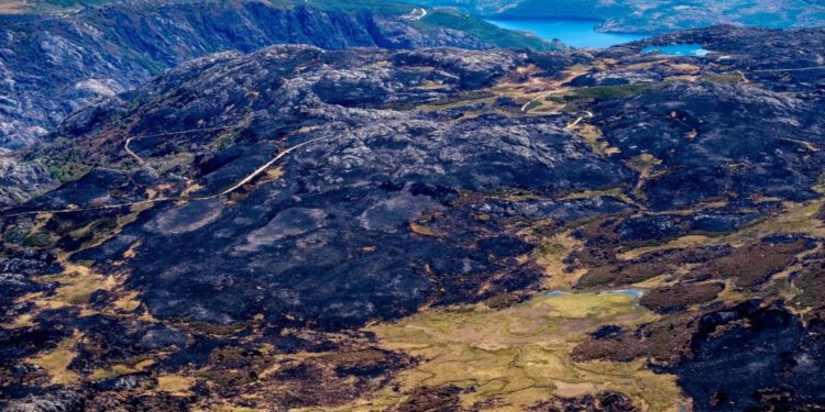 Operadores jurídicos piden prohibir la caza en las zonas asoladas por los incendios 1 Operadores jurídicos piden prohibir la caza en las zonas asoladas por los incendios