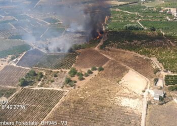 Controlado el incendio forestal de Montroy que ha movilizado a 2 medios aéreos