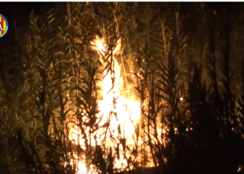 20 evacuados de forma preventiva por el incendio forestal de Buñol y la CV-425 permanece cortada