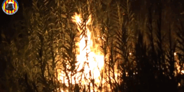 20 evacuados de forma preventiva por el incendio forestal de Buñol y la CV-425 permanece cortada
