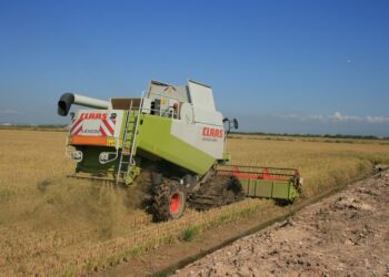 Empieza la siega: AVA-ASAJA alerta que la renta del arroz peligra por el descenso de al menos el 15% de la producción y de los precios 1 Empieza la siega: AVA-ASAJA alerta que la renta del arroz peligra por el descenso de al menos el 15% de la producción y de los precios