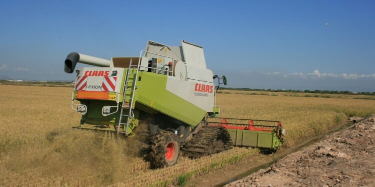 Empieza la siega: AVA-ASAJA alerta que la renta del arroz peligra por el descenso de al menos el 15% de la producción y de los precios 1 Empieza la siega: AVA-ASAJA alerta que la renta del arroz peligra por el descenso de al menos el 15% de la producción y de los precios