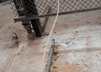 El patrimonio del Mercado Central que Catalá margina y olvida