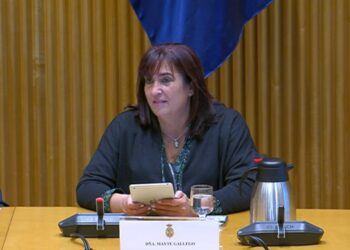 ASPAYM presenta alegaciones en la Ley ELA para el reconocimiento de las pentaplejias y tetraplejias electrodependientes