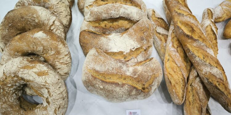 Ganadores de la 54 edición del Concurso de Panes Tradicionales y Panes  de Formato Libre