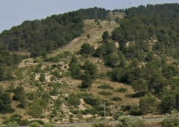 Desde Més Avant y Los Verdes de Centro Moderado denuncian la situación de los montes valencianos