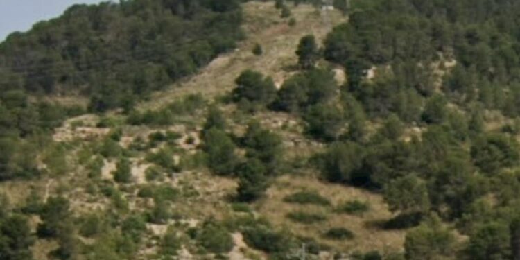 Desde Més Avant y Los Verdes de Centro Moderado denuncian la situación de los montes valencianos