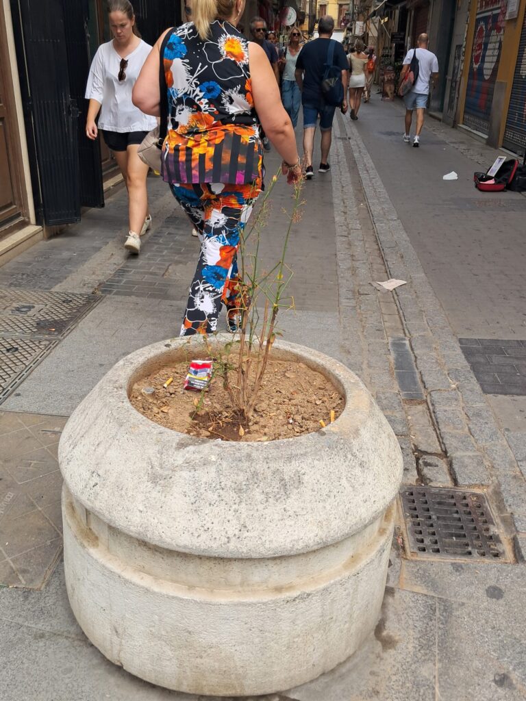 WhatsApp Image 2025 09 06 at 19.28.13