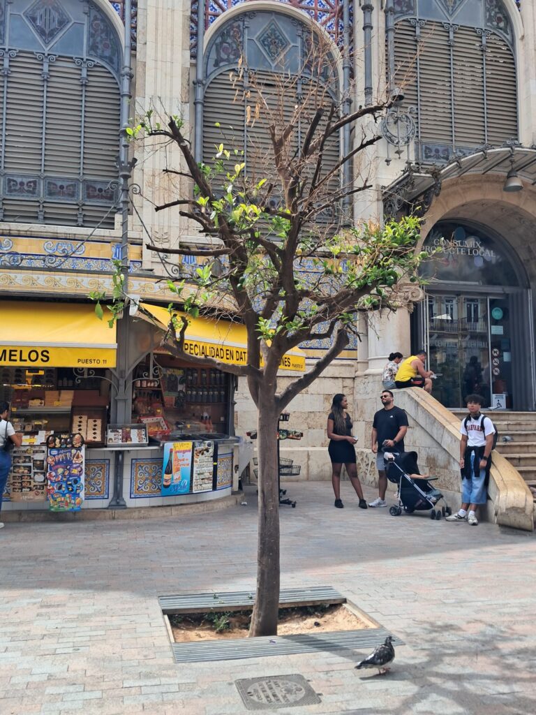 WhatsApp Image 2025 09 08 at 11.06.34