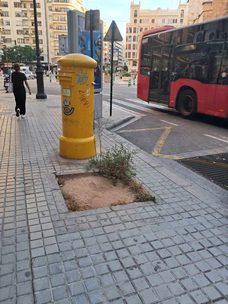 WhatsApp Image 2025 09 11 at 12.26.21