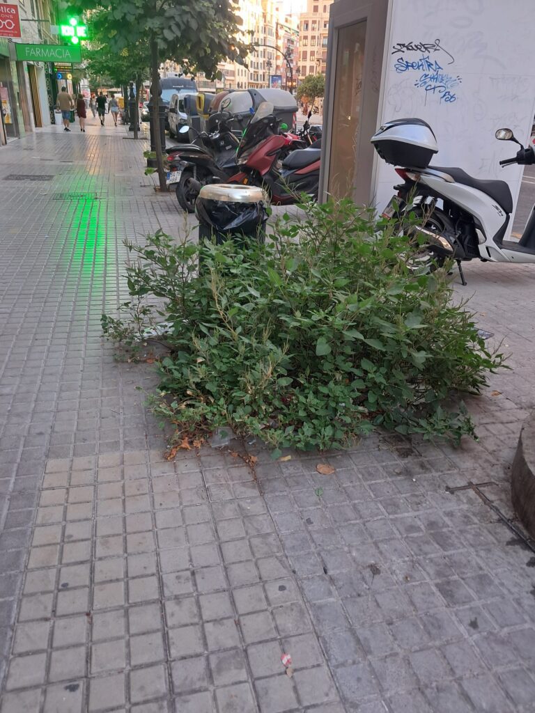 WhatsApp Image 2025 09 11 at 12.26.211