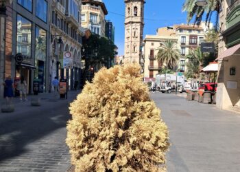 El arbolado y plantas del centro se le secan a Catalá en el centro de Valencia