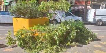 Los jardines de Valencia olvidados por Catalá
