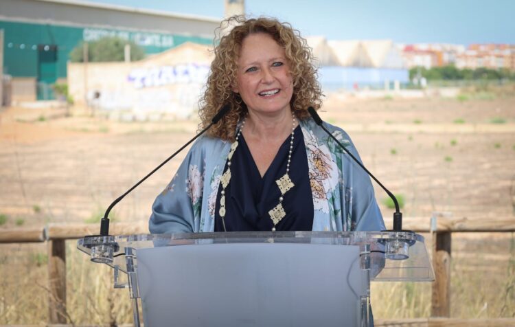 Nuevo Puente de la Comunidad de Madrid en Torrent