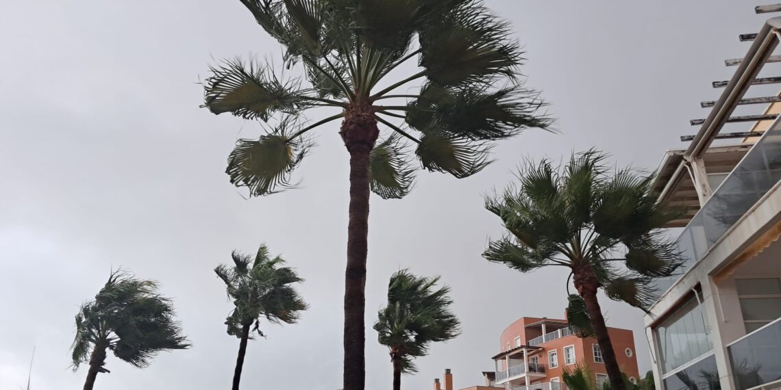 Lluvia torrencial con rachas de viento muy fuertes entre Alzira, Sueca y Cullera