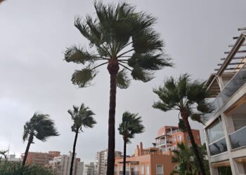 Lluvia torrencial con rachas de viento muy fuertes entre Alzira, Sueca y Cullera