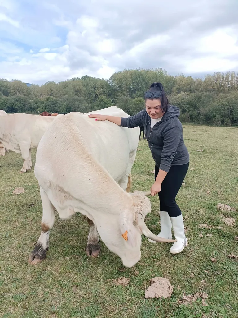 Blanca, ejemplo de emprendimiento rural en la Vall d’Albaida 2 blanca con un ternero ya adulto a6ad
