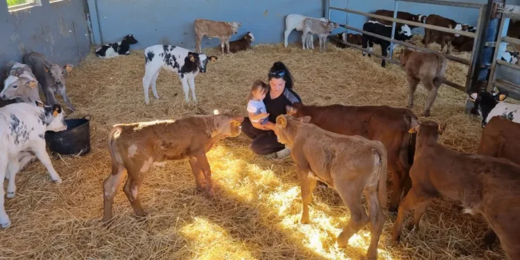 Blanca, ejemplo de emprendimiento rural en la Vall d’Albaida