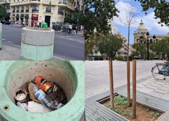 A Catalá se le mueren los granados y otros árboles del entorno de la Plaza del Ajuntament este verano